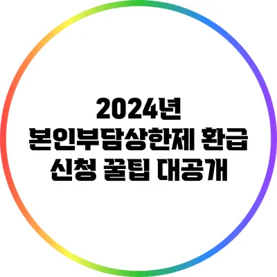 2024년 본인부담상한제 환급 신청 꿀팁 대공개