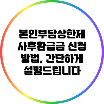 본인부담상한제 사후환급금 신청 방법, 간단하게 설명드립니다