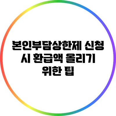 본인부담상한제 신청 시 환급액 올리기 위한 팁