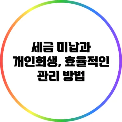 세금 미납과 개인회생, 효율적인 관리 방법