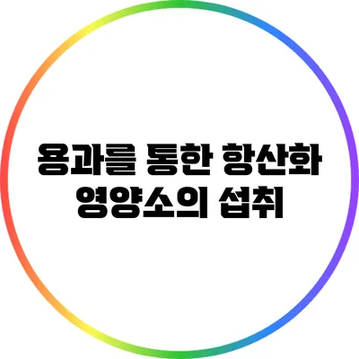 용과를 통한 항산화 영양소의 섭취