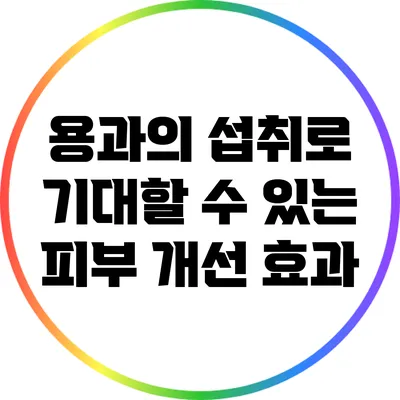 용과의 섭취로 기대할 수 있는 피부 개선 효과