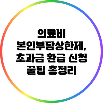 의료비 본인부담상한제, 초과금 환급 신청 꿀팁 총정리