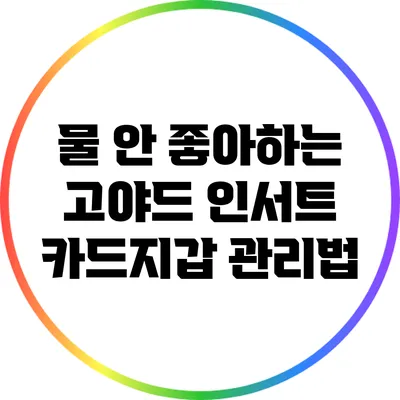 물 안 좋아하는 고야드 인서트 카드지갑 관리법