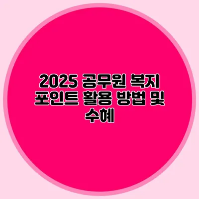 2025 공무원 복지 포인트 활용 방법 및 수혜