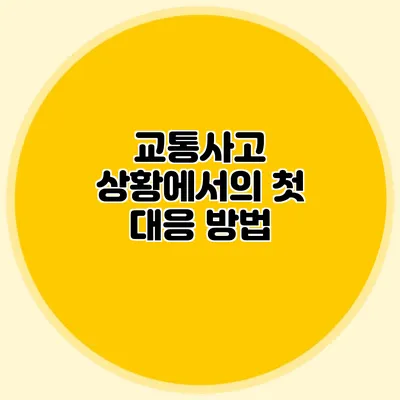 교통사고 상황에서의 첫 대응 방법