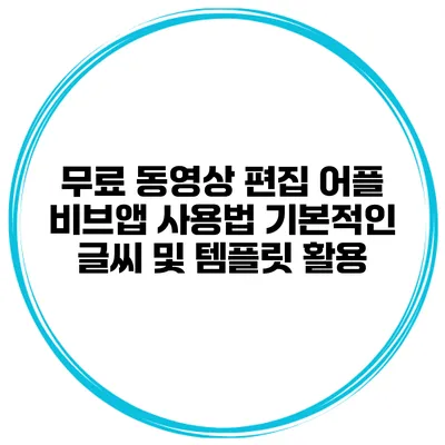 무료 동영상 편집 어플 비브앱 사용법 기본적인 글씨 및 템플릿 활용