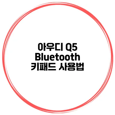 아우디 Q5 Bluetooth 키패드 사용법
